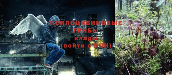 COCAINE Михайловск