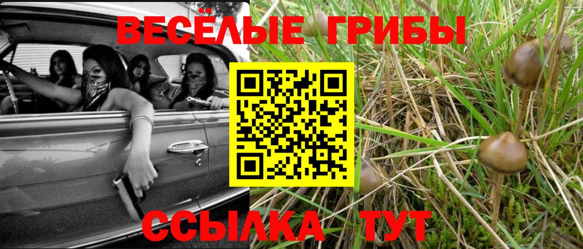 Сафоново  купить  цена  Вход с VPN  Псилоцибиновые грибы Magic Shrooms 