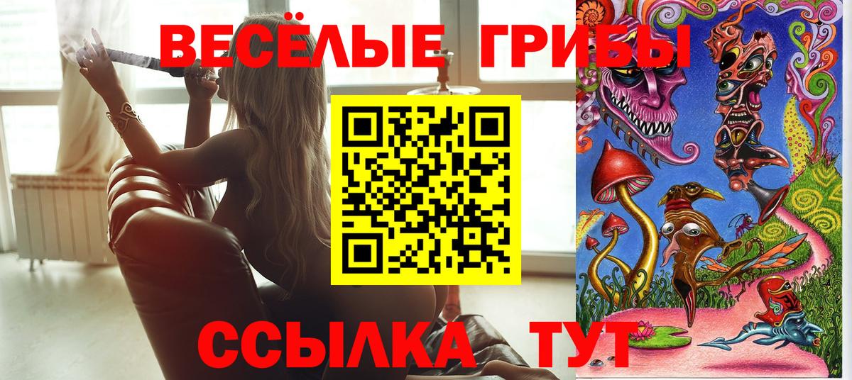 Галлюциногенные грибы Magic Shrooms  Галлюциногенные грибы Psilocybe  Сафоново 