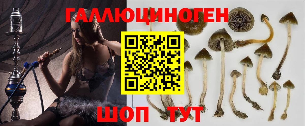 Галлюциногенные грибы Magic Shrooms Сафоново